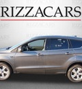 ford escape 2014 gray suv se 4x4 gasoline 4 cylinders 4 wheel drive automatic with overdrive 60546